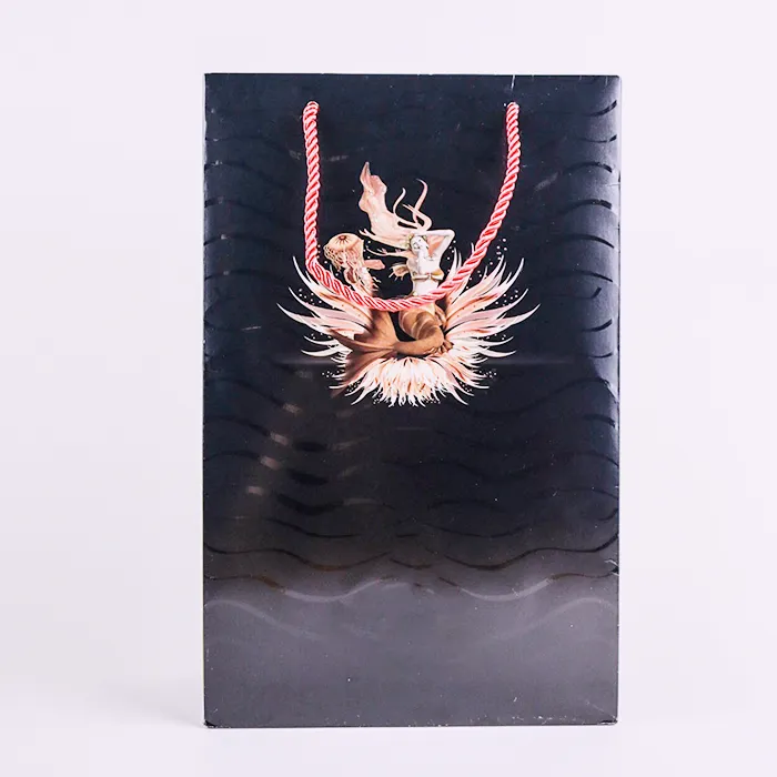 فیشن شاپنگ بیگ