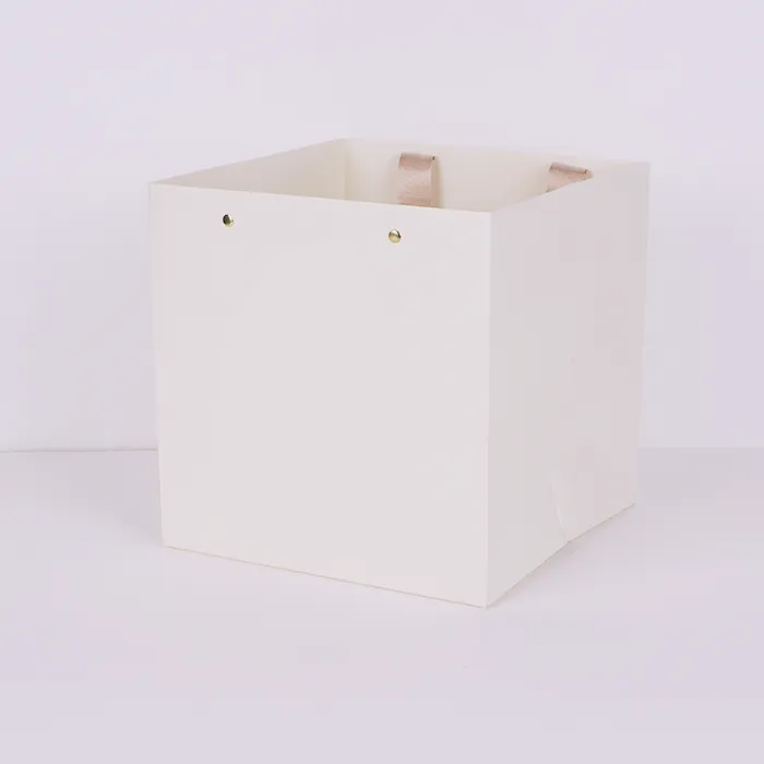 لگژری کاغذی بیگ